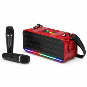 dual mic speaker